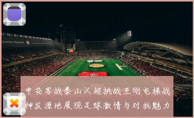 申花客战泰山汉超挑战王刚电梯战神发源地展现足球激情与对抗魅力