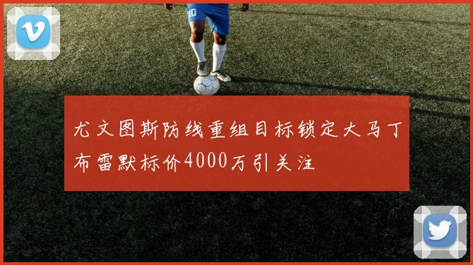 尤文图斯防线重组目标锁定大马丁布雷默标价4000万引关注
