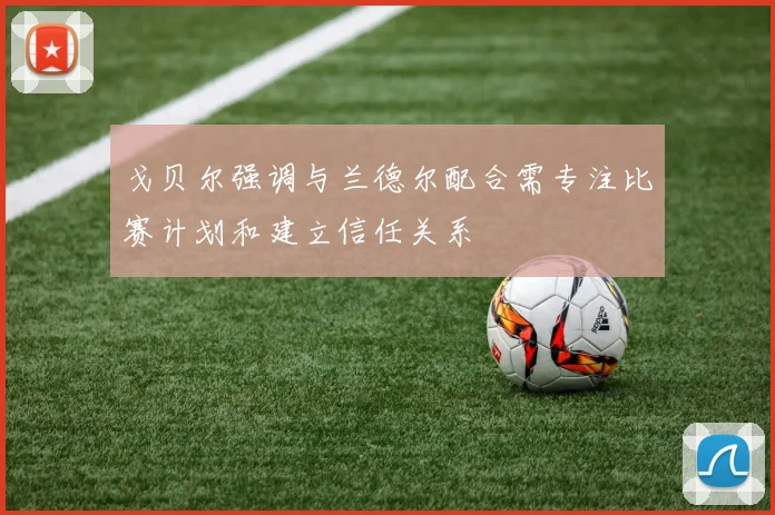 戈贝尔强调与兰德尔配合需专注比赛计划和建立信任关系